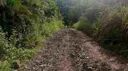 Akses Utama Desa Ulak Lebar Bengkulu Tengah Rusak, Warga Minta Perbaikan