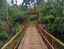 Warga Merigi Sakti Kesulitan Angkut Hasil Kebun, Jembatan Tak Bisa Dilalui Mobil
