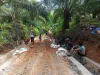 Jalan Rabat Beton Desa Pelajau Capai 50%, Permudah Akses 50 Hektar Kebun Warga