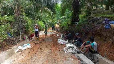 Jalan Rabat Beton Desa Pelajau Capai 50%, Permudah Akses 50 Hektar Kebun Warga