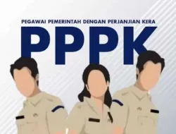 Waspada! Ini 5 Larangan yang Wajib Dihindari PPPK Eks Honorer agar Tidak Dipecat