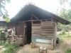 Kisah Pilu Warga Kurang Mampu di Bengkulu Tengah