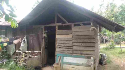 Kisah Pilu Warga Kurang Mampu di Bengkulu Tengah