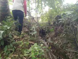 Pemerintah Desa Tengah Padang Bangun Drainase di Dusun 2